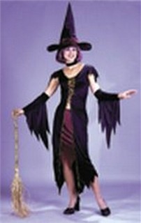 Adult Witch Costume - Witchy Witch