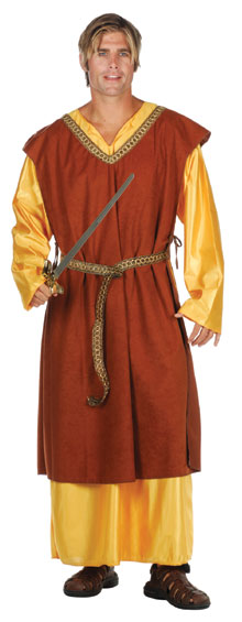 Adult Medieval King Costume