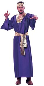 Adult Wiseman Costume