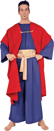Adult Wiseman I Costume