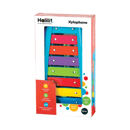 Curved Xylophone Musical Toy