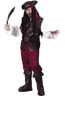 Adult High Seas Buccaneer Costume