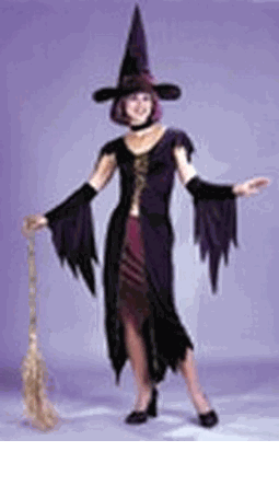 Adult Witch Costume - Witchy Witch