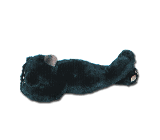 "Dreamer" Laying on Back Bear