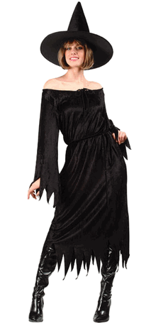 Adult Velvet Witch Costume