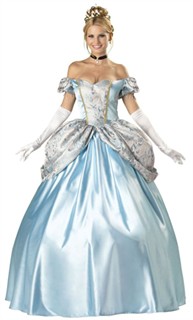Adult Enchanting Princess Costume
