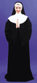 Adult Nun Halloween Costume