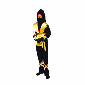 Child Ninja Master Costume
