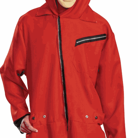 Money Heist Costume
