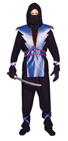 Teen Ninja Master Costume