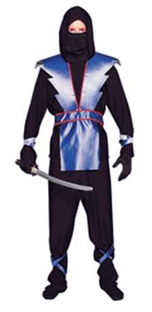 Teen Ninja Master Costume