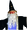 Adult Black Velvet Wizard Hat
