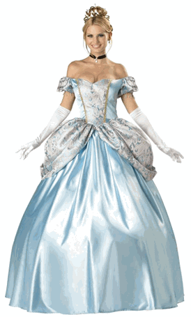 Adult Enchanting Princess Costume