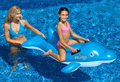 Dolphin Stable Ride-On Pool Toy