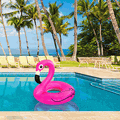 Giant Pink Flamingo Pool Float