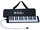 Schoenhut Melodica